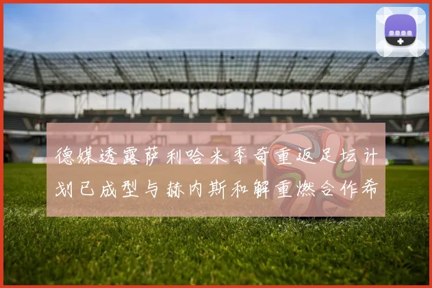德媒透露萨利哈米季奇重返足坛计划已成型与赫内斯和解重燃合作希望